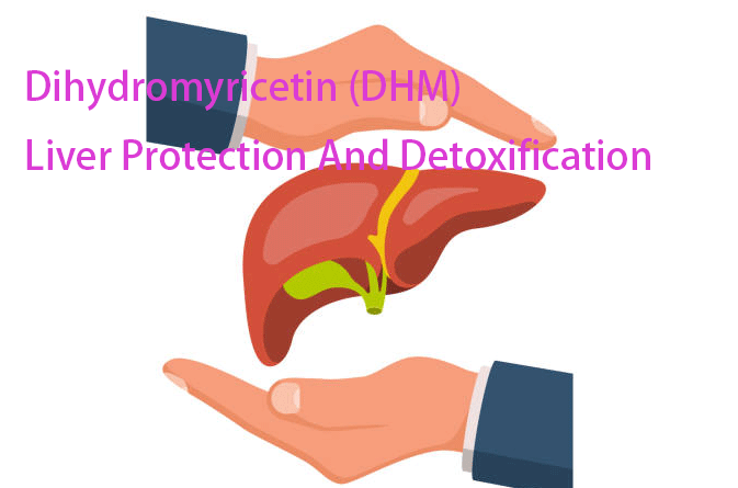 dihydromyricetin (DHM) Ampelopsin Liver Protection And Detoxification dihydromyricetin (DHM) Ampelopsin Liver Protection And Detoxification
