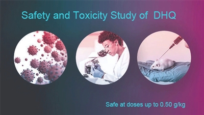 Kintai Dihidroquercetin (DHQ) saugos ir toksiškumo tyrimas
